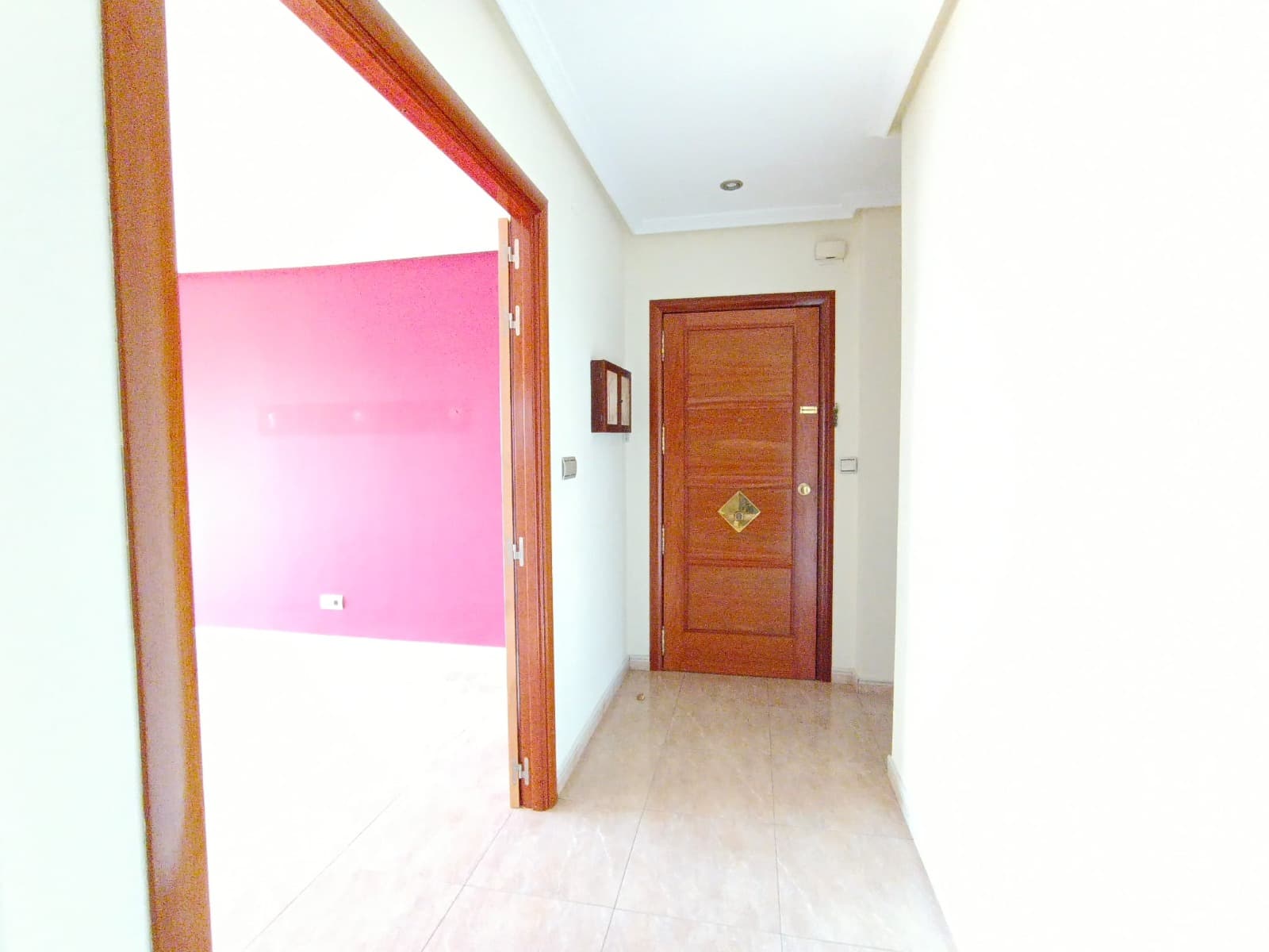 Imagen 15