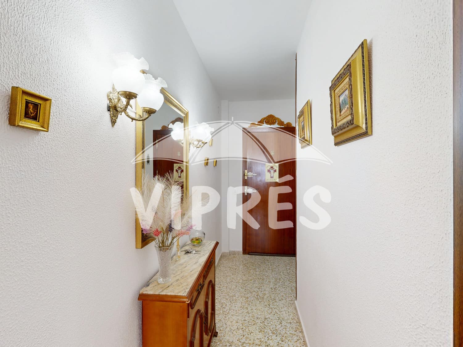 Imagen 5