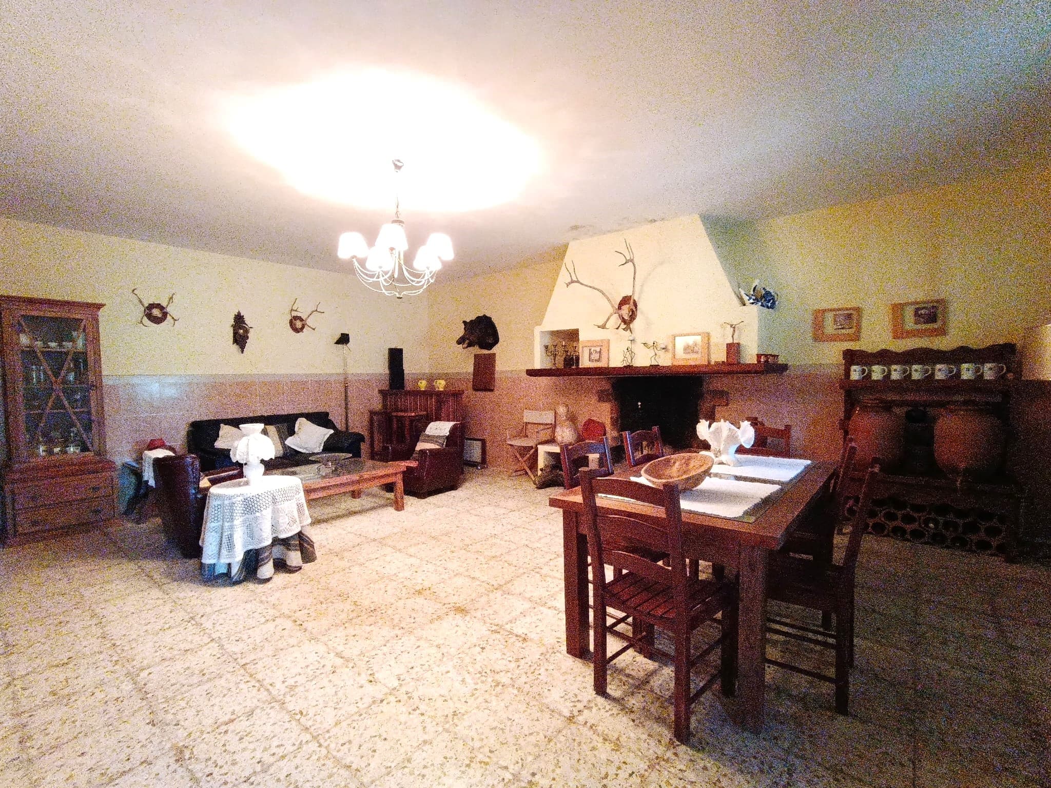 Imagen 5