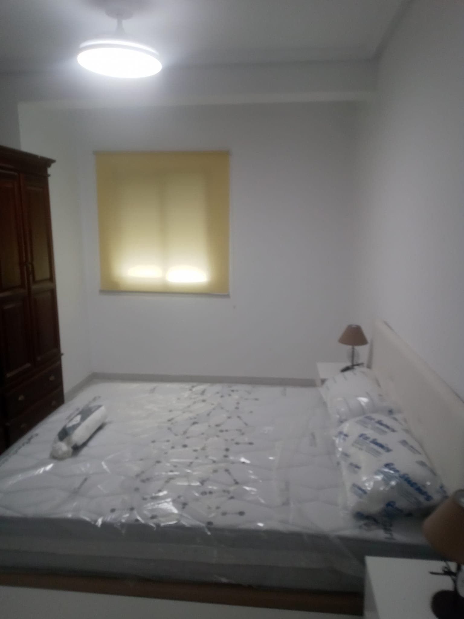 Imagen 5
