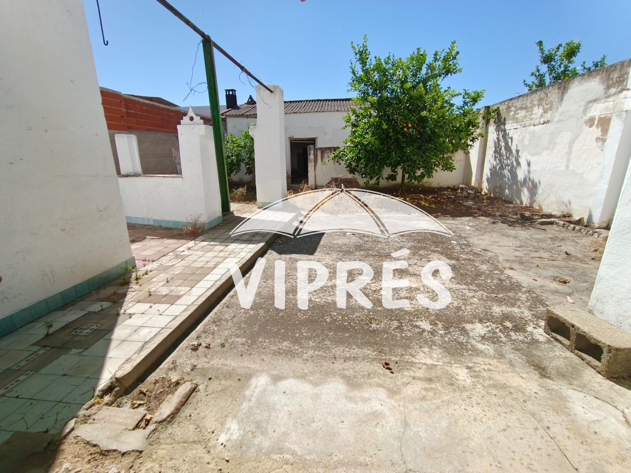Imagen 3